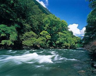 Fami通新一周销量榜 《勇者斗恶龙3:HD-2D重制版》二连冠