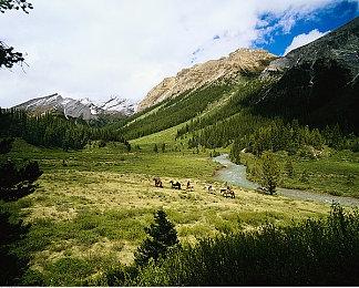 开放世界角色扮演游戏《维京前线》发布游戏测试预告