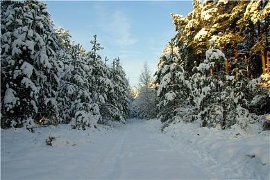 XGP新增游戏 《极品飞车14:热力追踪3 重制版》等